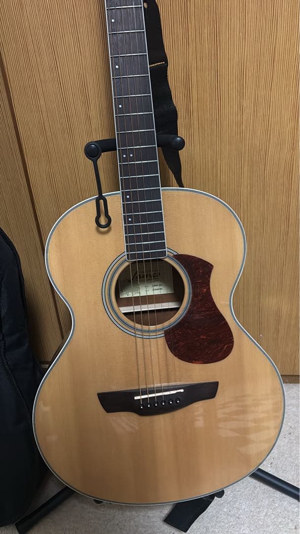 アコースティックギター James J-300A ケース、スタンド、本付き
