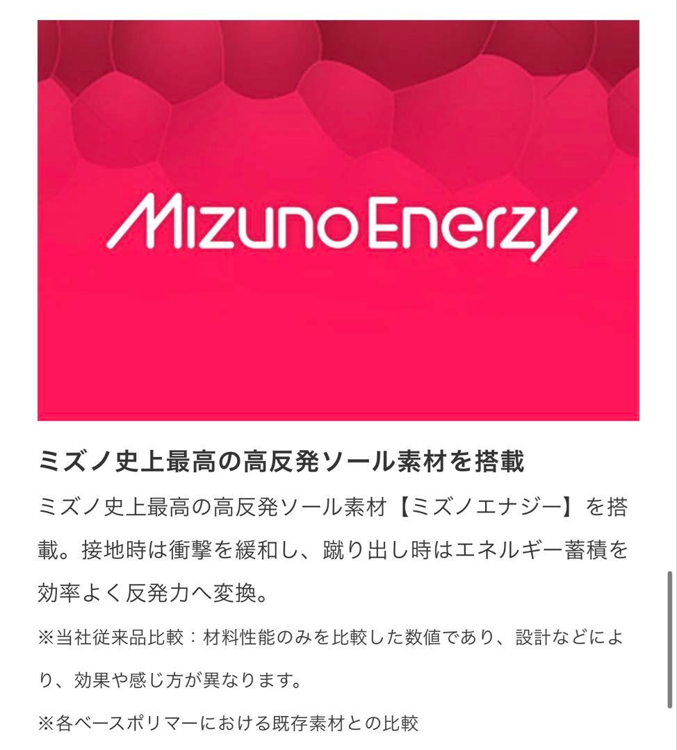 MIZUNO ウエーブライトレボラン エリート 27cm 11GT2210