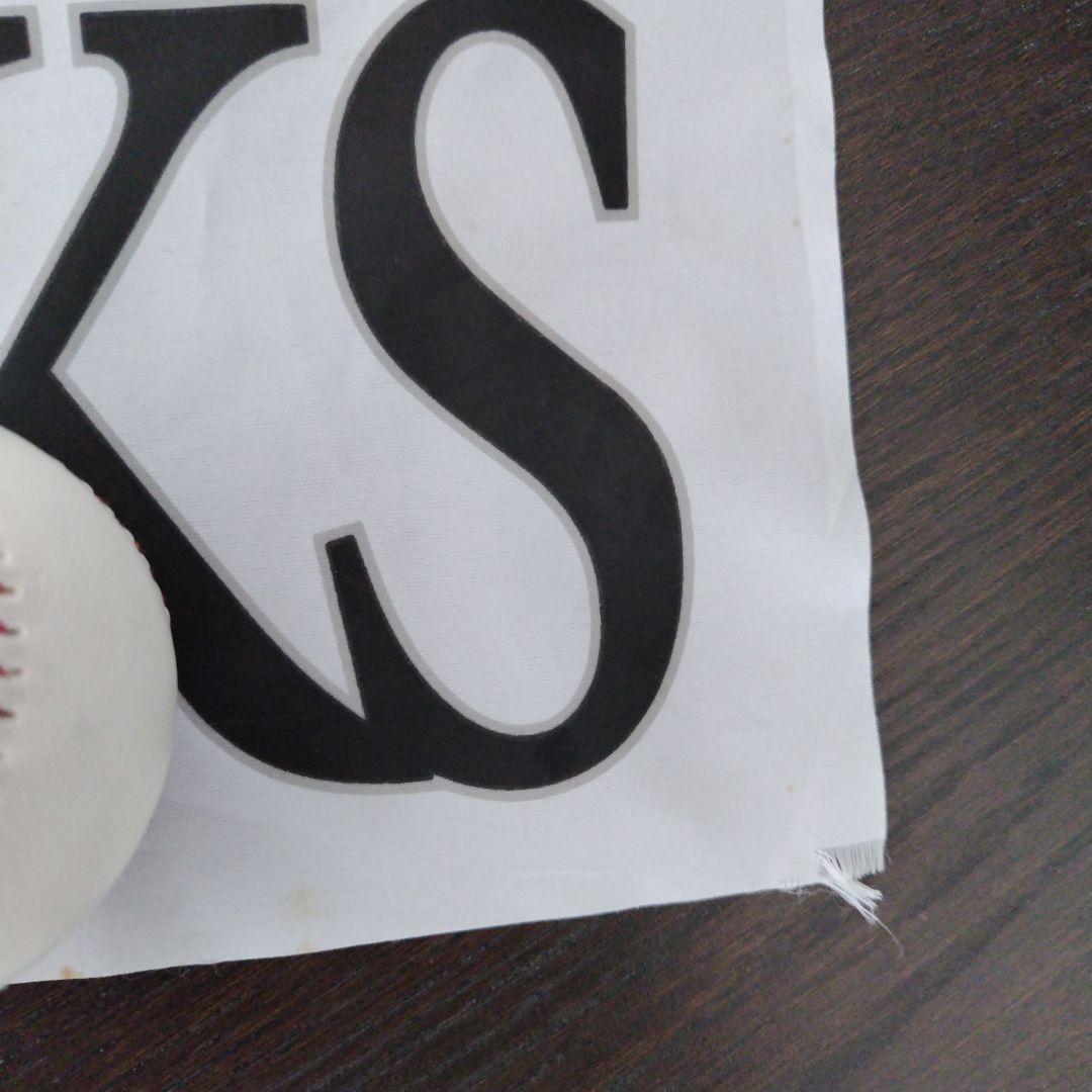 SoftBank Hawks 応援グッズセット