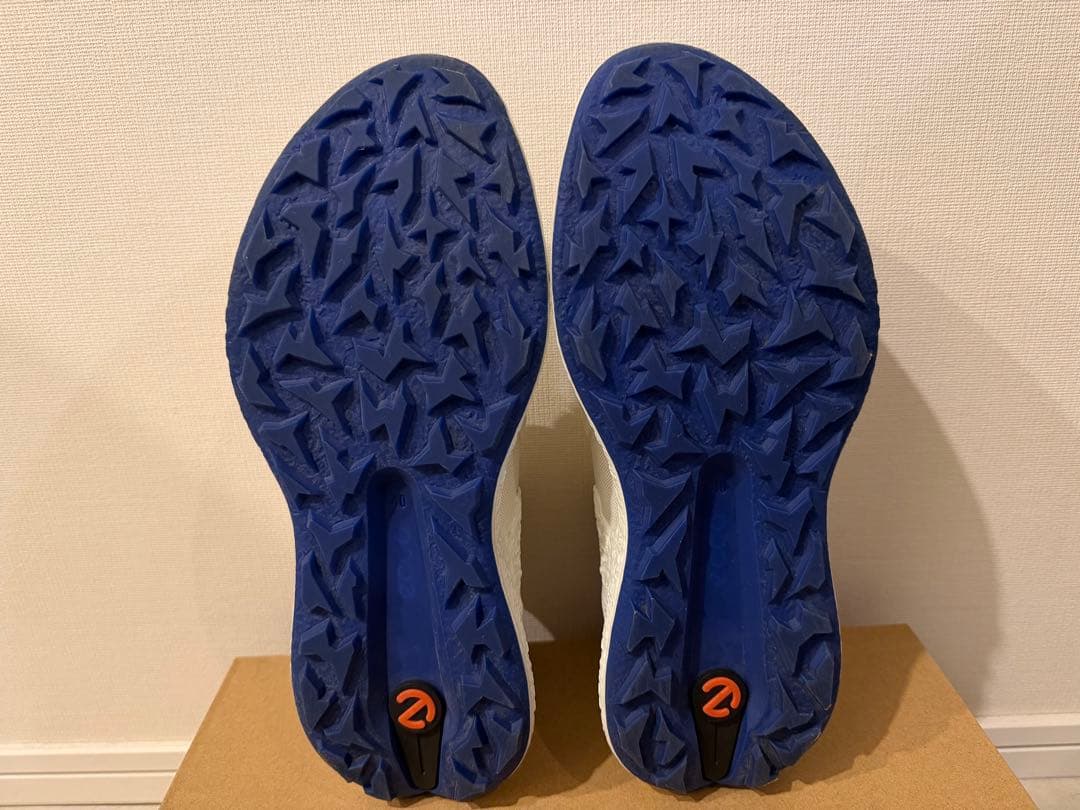 ECCO Golf Biom H5 Hybrid Men ゴルフシューズ
