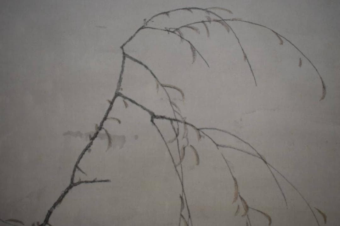 真作/谷口渓雲/柳に遊鯉図/鯉/桐共箱付/布袋屋掛軸A-138