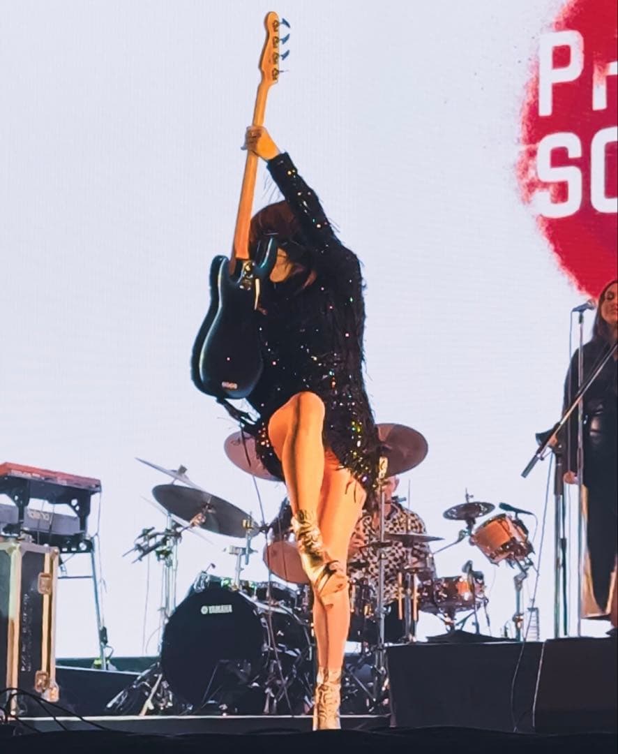 PRIMAL SCREAM 2025ツアー フーディー L