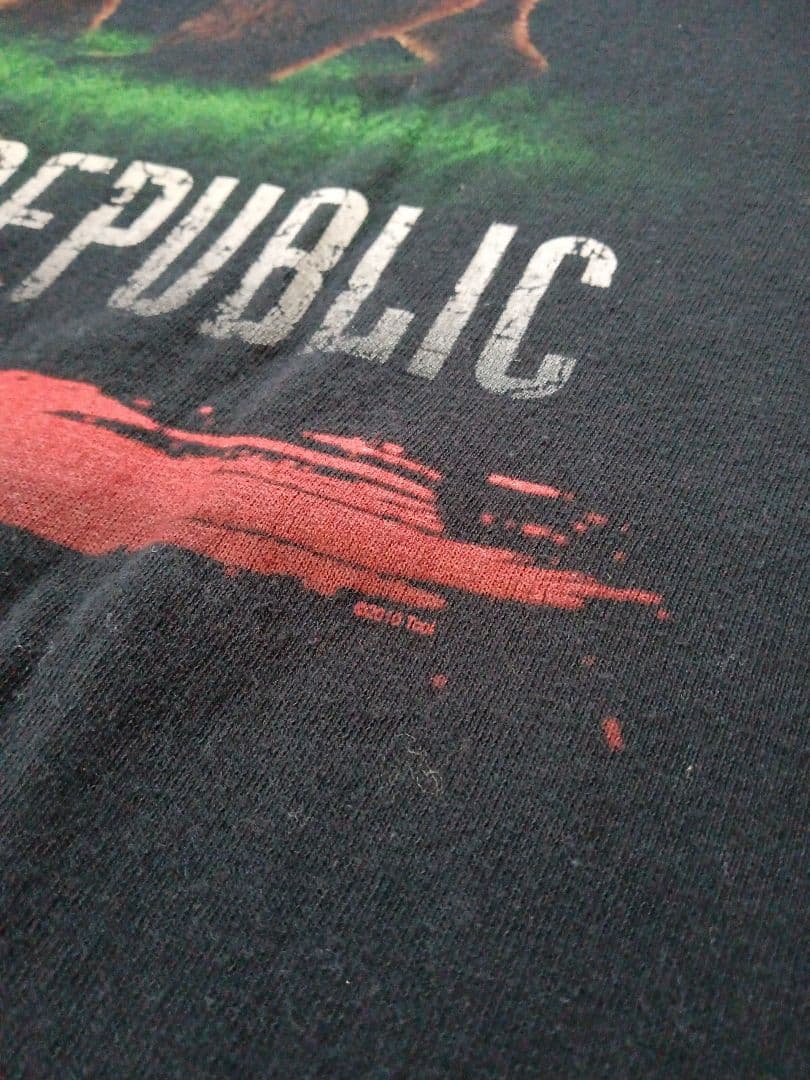 2010年製 トゥール tool Tシャツ カリフォルニア ベア ブラック