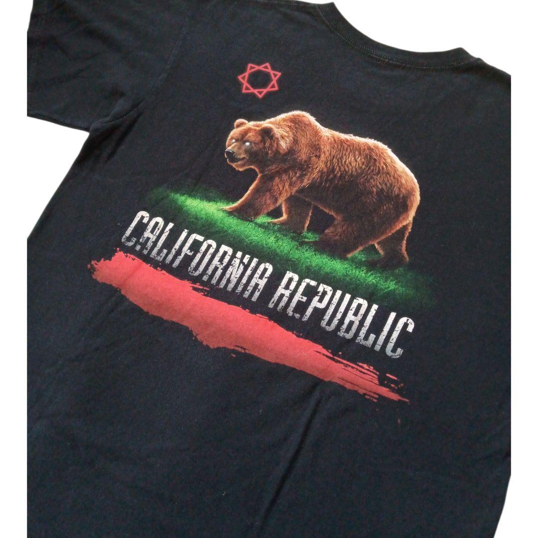 2010年製 トゥール tool Tシャツ カリフォルニア ベア ブラック