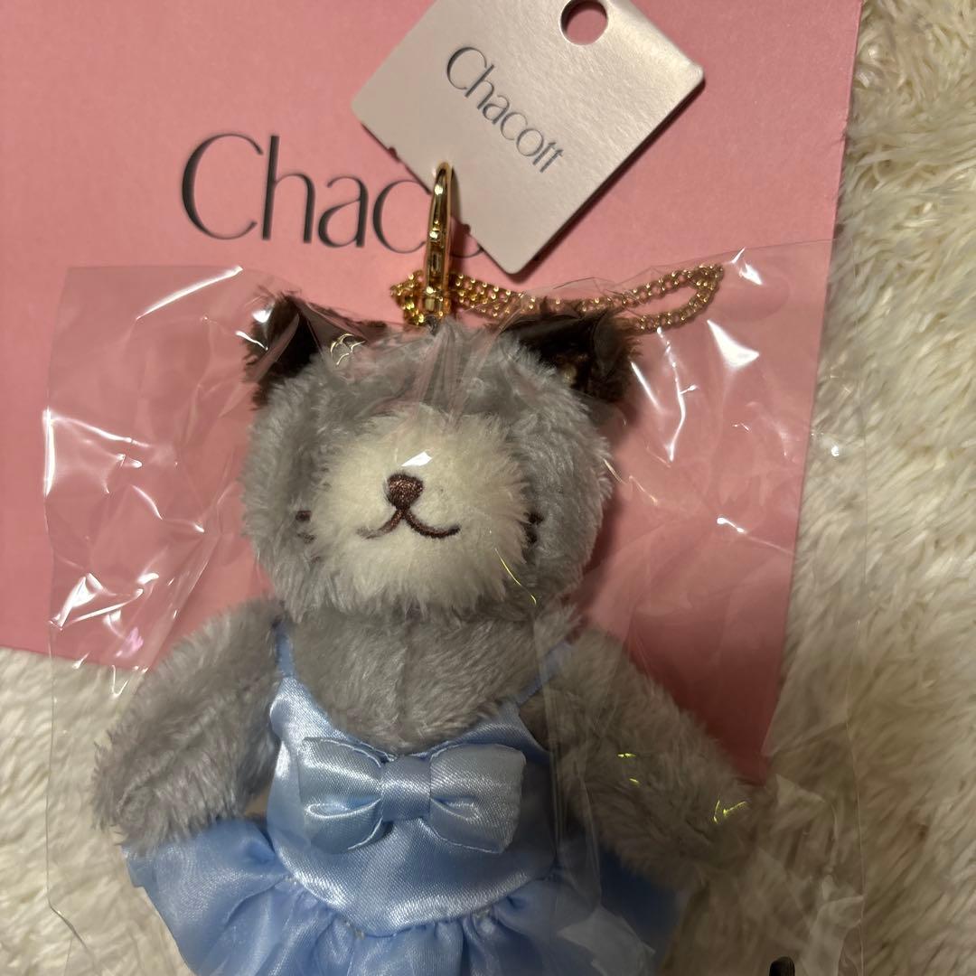 Chacott チャコットCat チャーム　ベビーブルーLaLa ショッパー付き