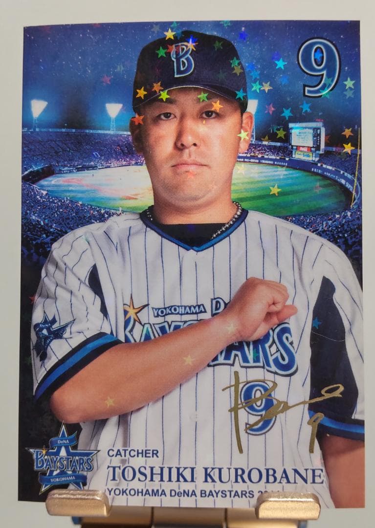 #4 #9 #15 #27 #29 直筆サインボール（５点）他 ☆ベイスターズ