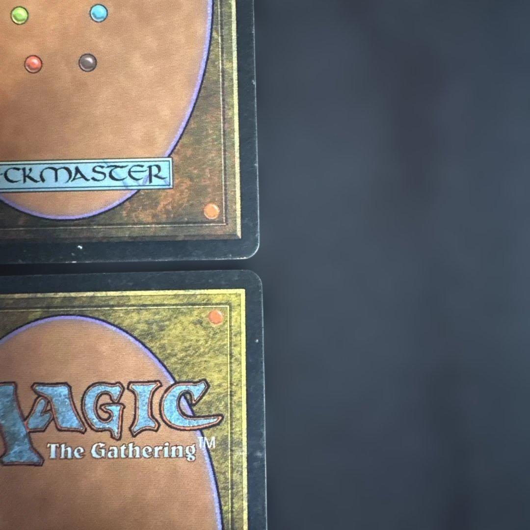 MTG 肉占い 日本語版4枚セット
