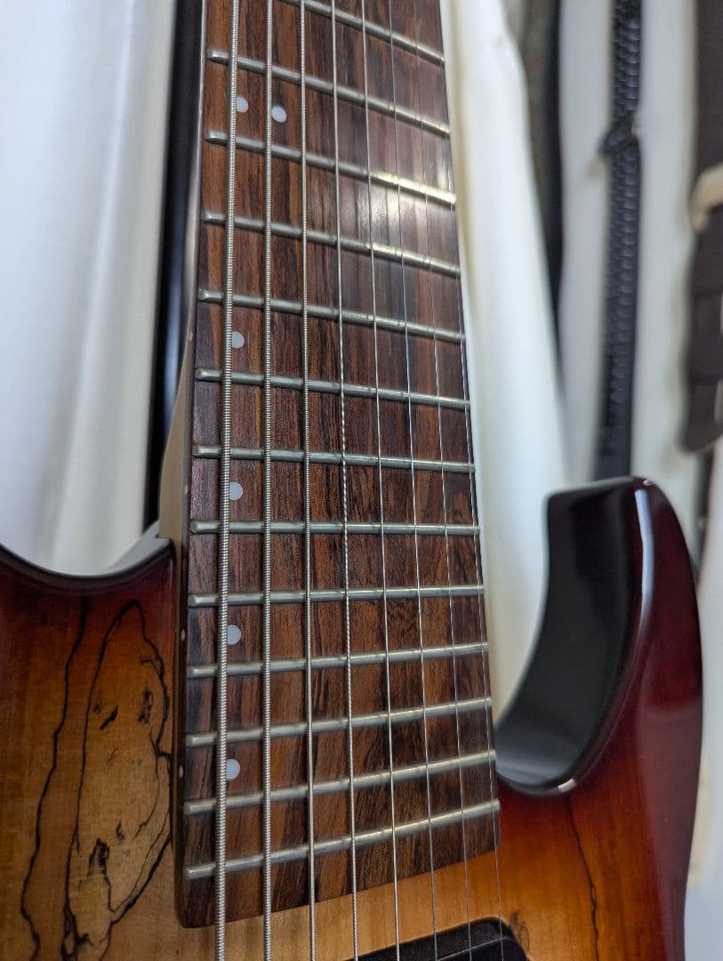 spear guitars 8弦ギター　カタログ外？　配線修理済