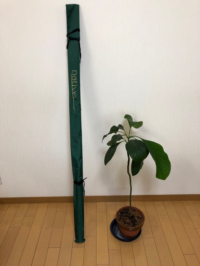 (Jackson )NativeTrout Rod　9ft