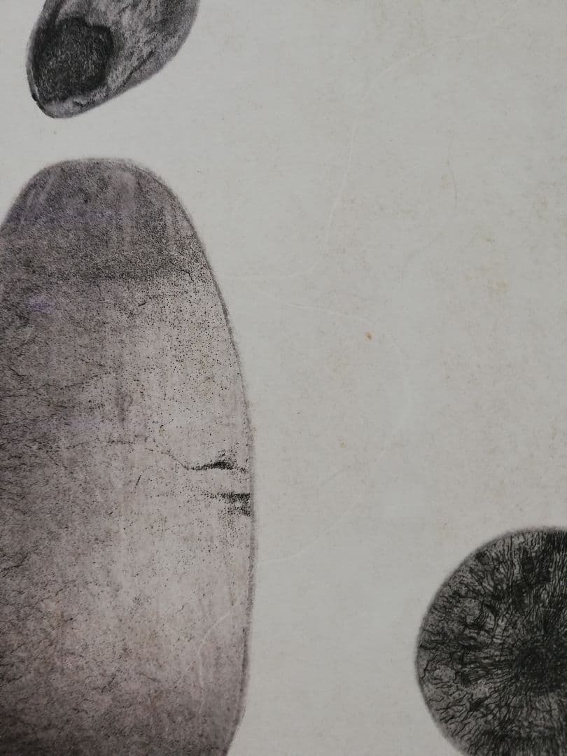 ART998　「宇宙生命体」　ポーランドの銅版画　インテリアアート