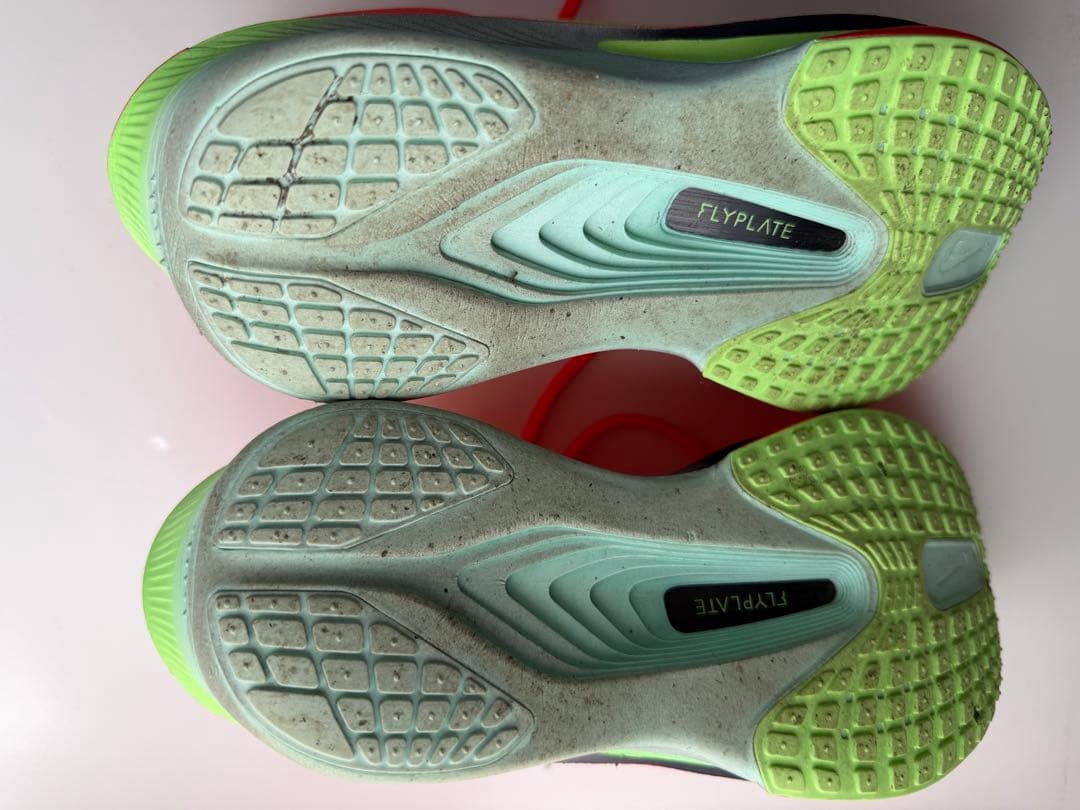 【26.0cm】 NIKE ZOOM FLY6