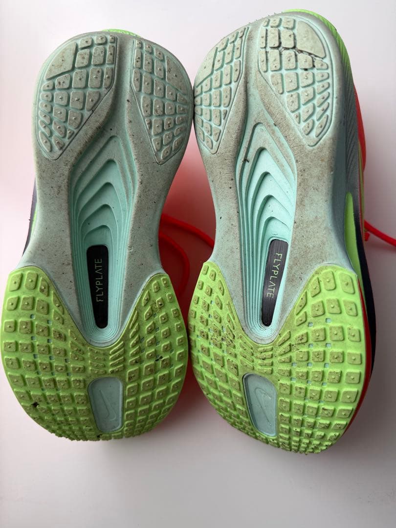 【26.0cm】 NIKE ZOOM FLY6