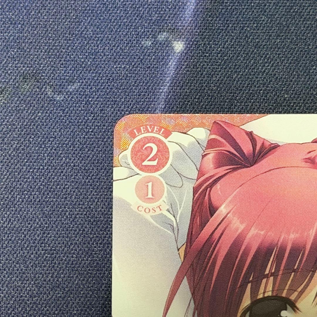 ヴァイスシュヴァルツロゼ 好みの下着は？ PR