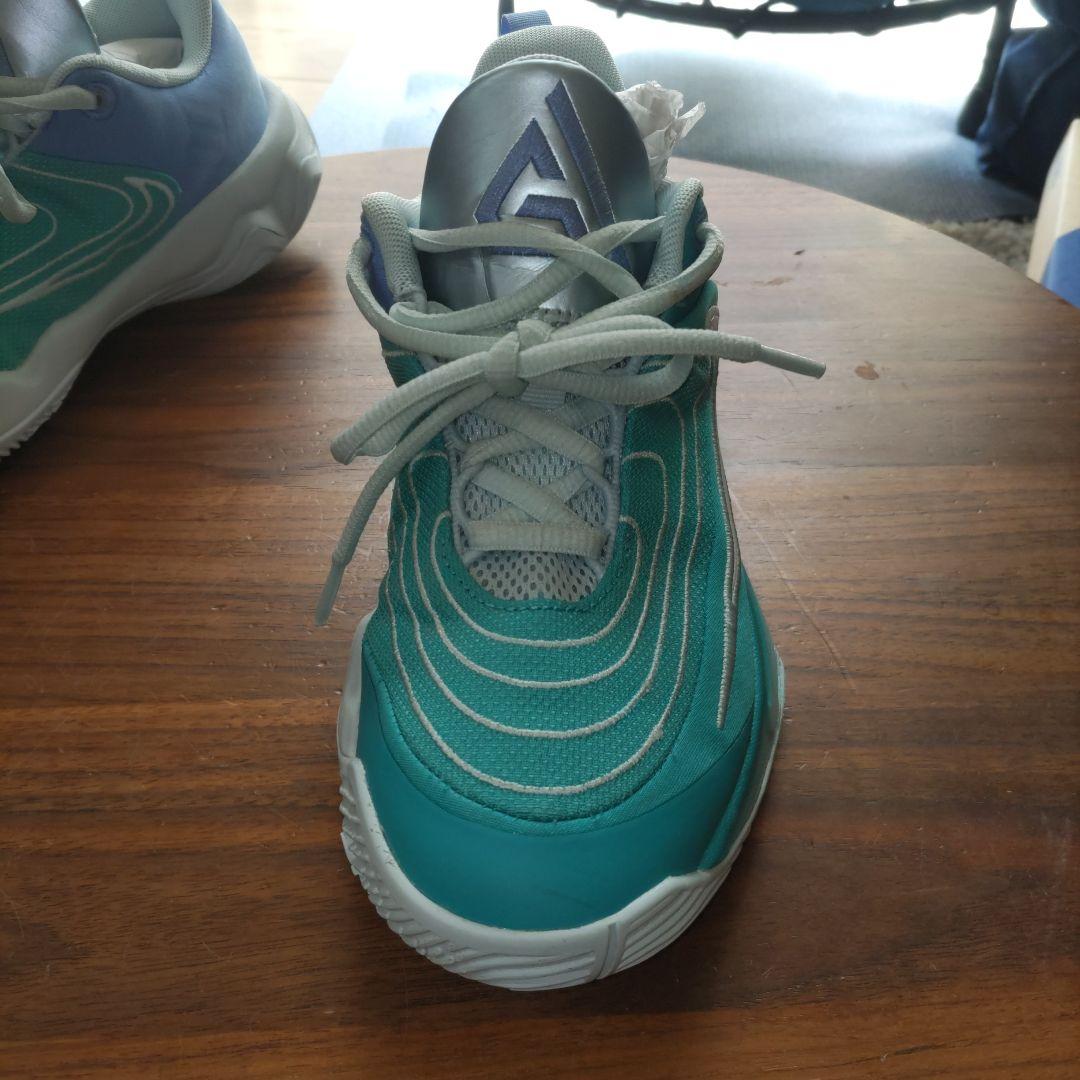 Nike バスケットボールシューズ ティール/ブルー　ヤニスイモータリティ4