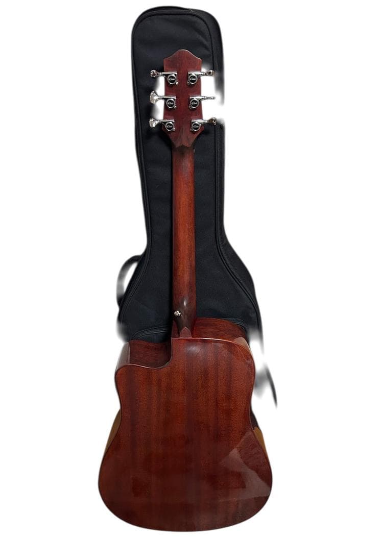 極美品☆Elvis Elite-2 エルヴィス アコースティックギター アコギ