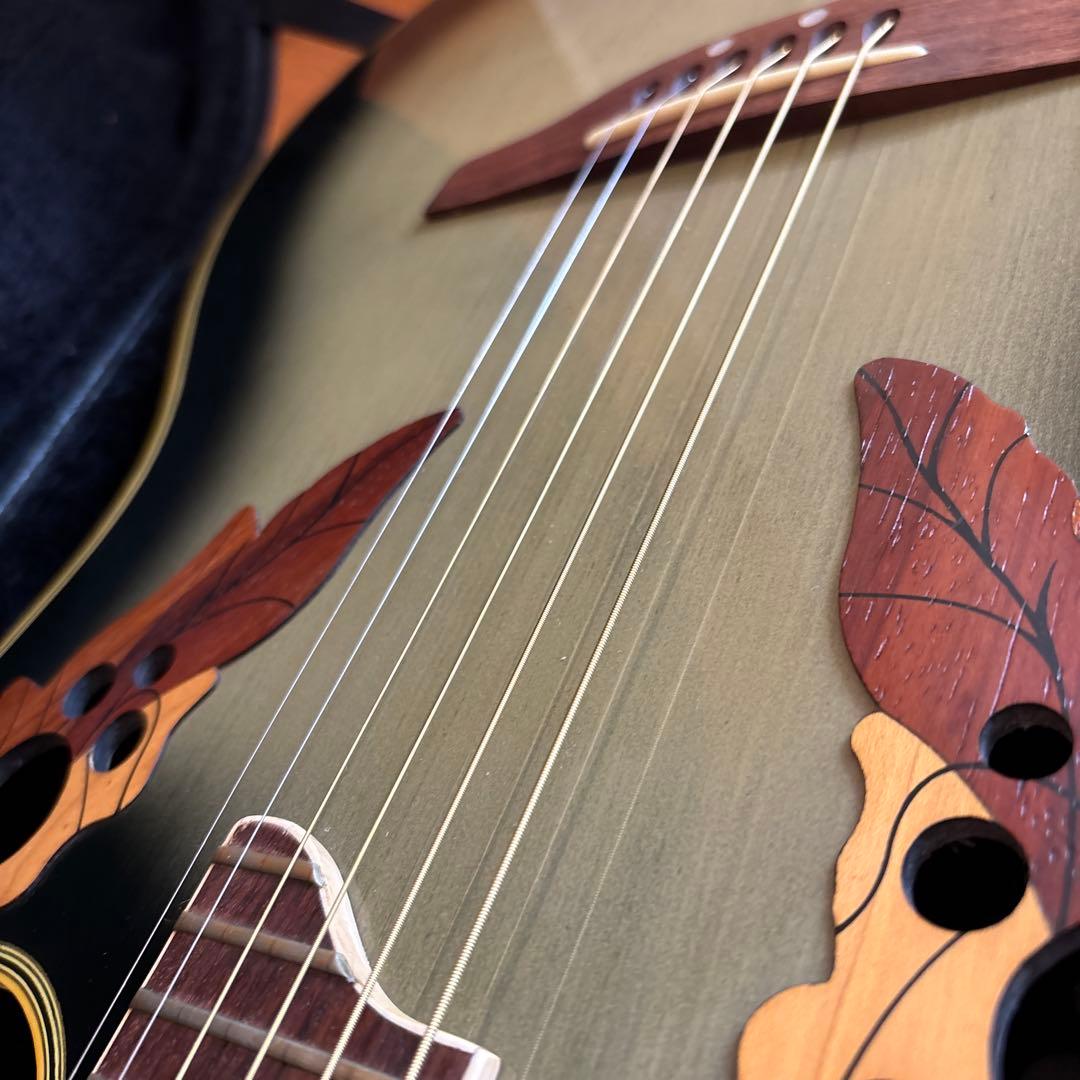 Ovation Celebrity Delaxe CC257 エレアコ