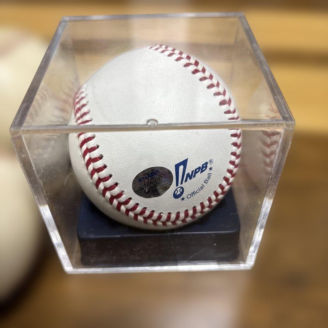 Rawlings 軟式グローブ2個セット（軟式ボール、硬式ボール、他備品）