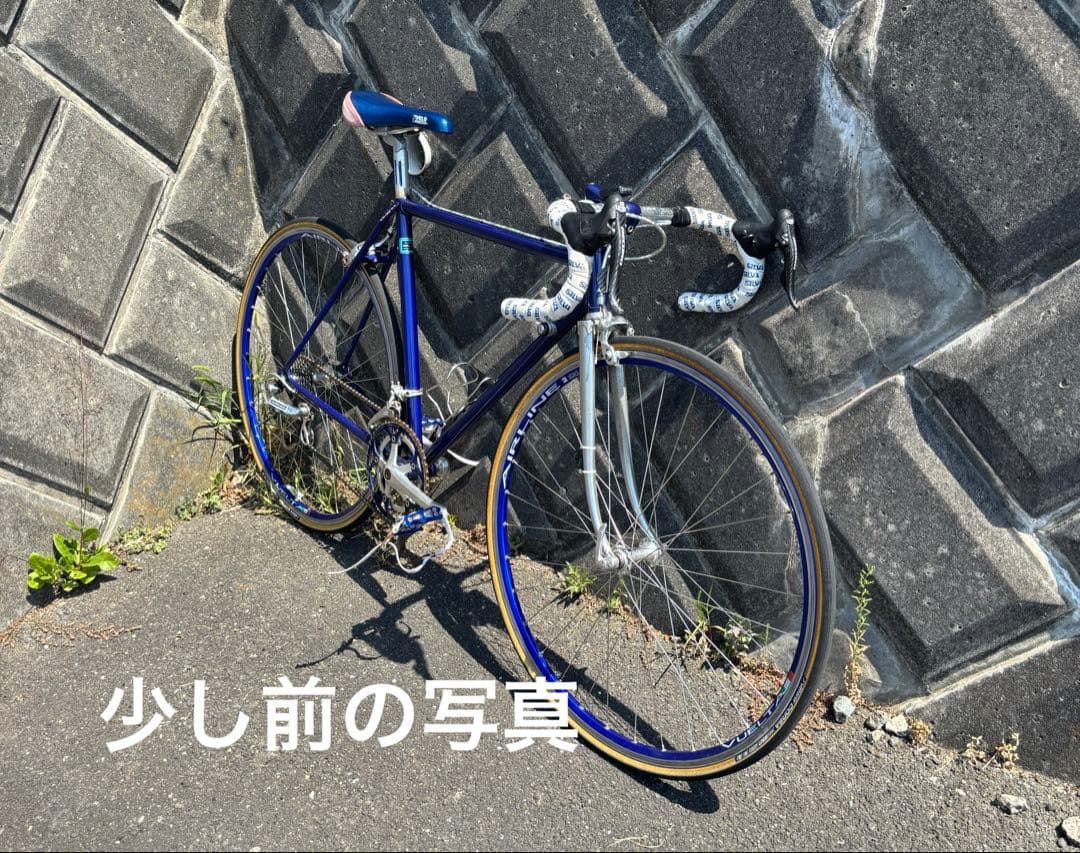 PELOTON(プロトン) ロードバイク 下森製作所