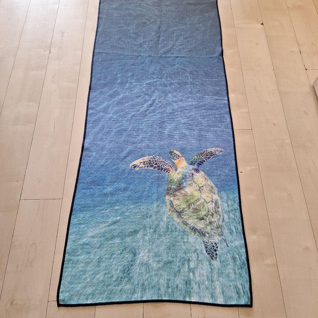 レア　マンドゥカ　ヨギトース　スキッドレス　タートルシー　海亀