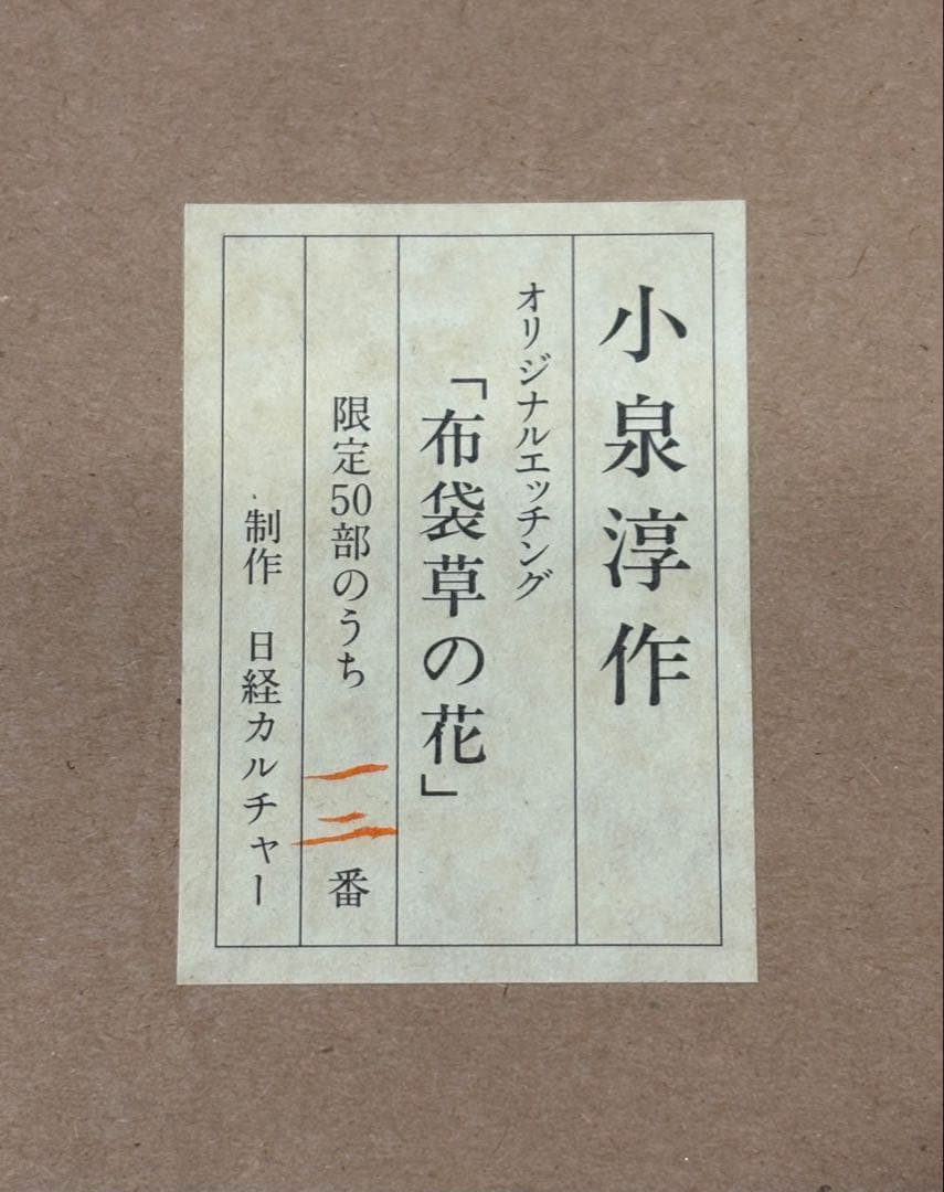 小泉淳作　『布袋草の花』　日経カルチャー制作　12/50