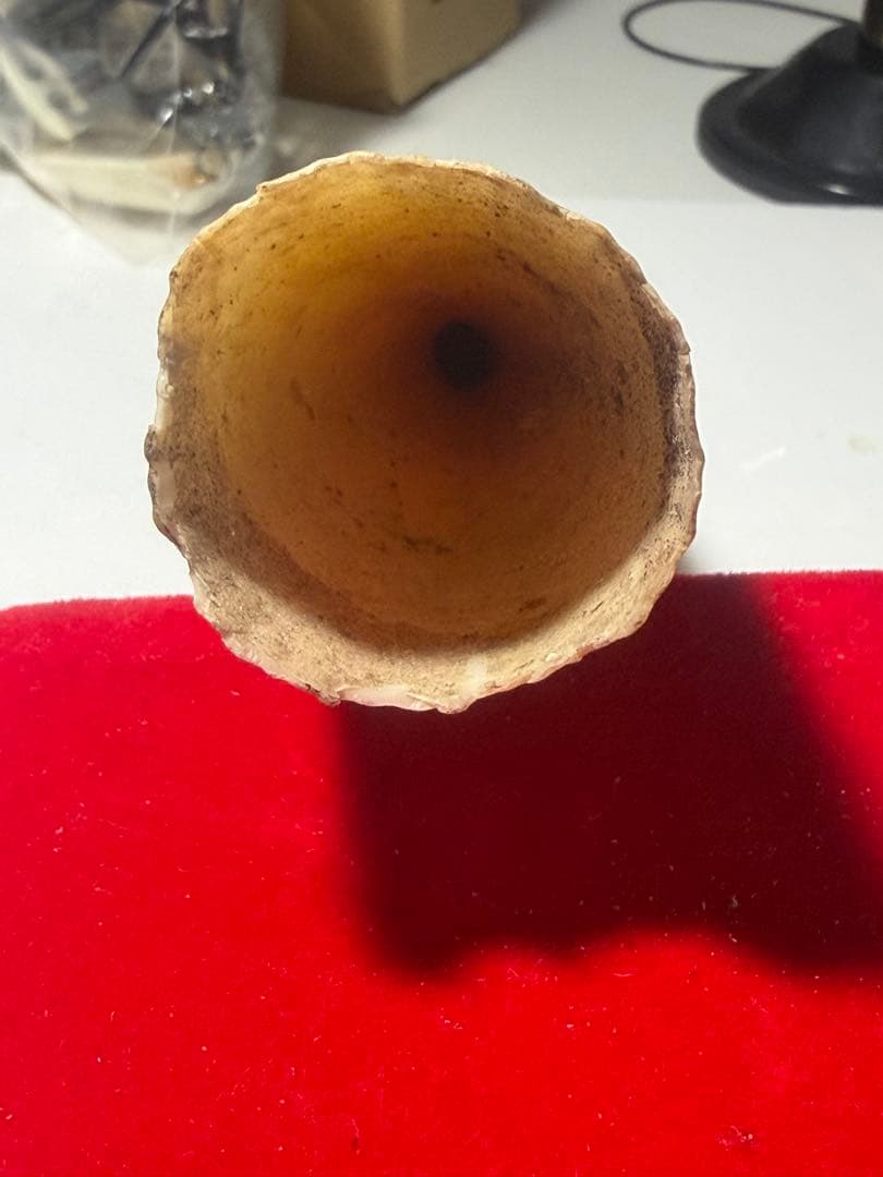 カバ牙　河馬牙　印材　彫刻材，送料無料