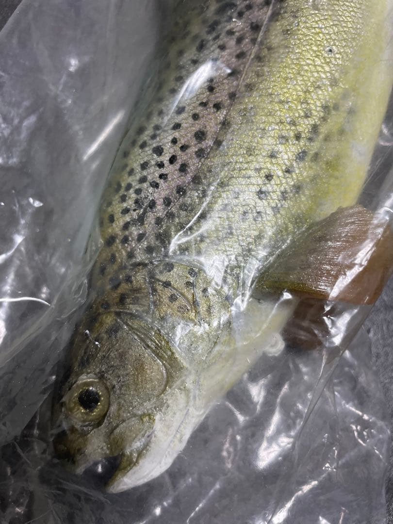 MATTLURES Dead Stick スイムベイト　マットルアーズ