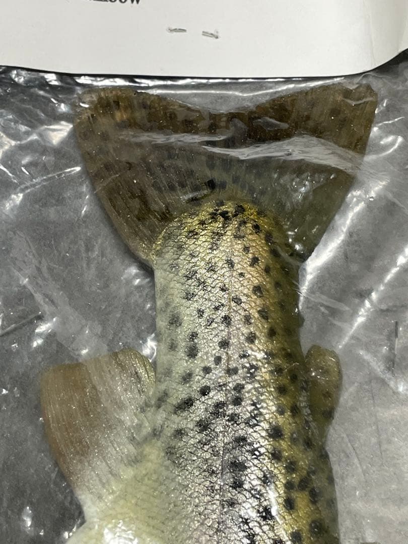 MATTLURES Dead Stick スイムベイト　マットルアーズ