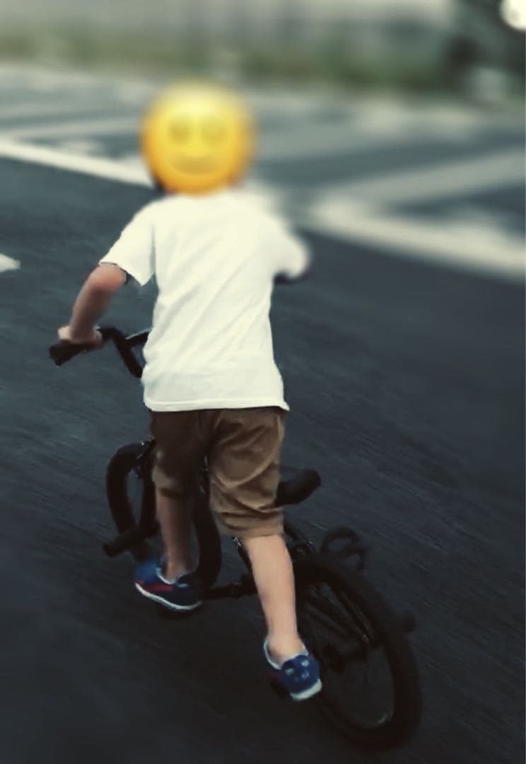 ニック　BMX ARES BIKES STN16 バイク マッドブラック