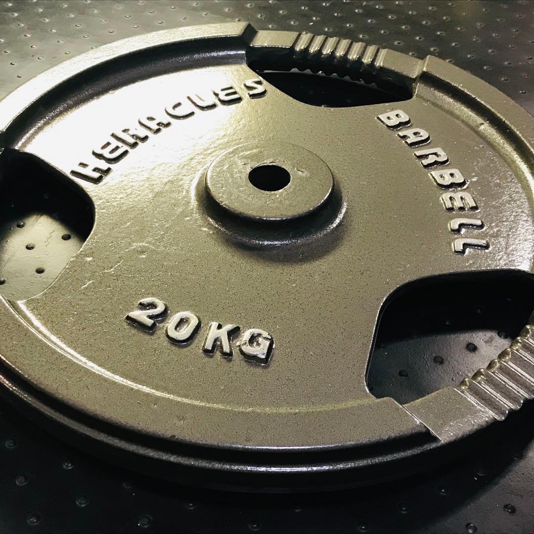 ヘラクレス バーベルプレート 20kg 1枚 ダンベル用プレート シルバー　①