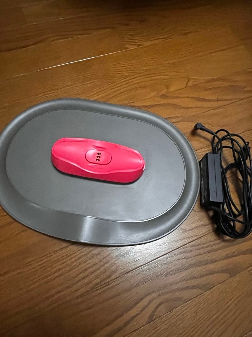 SONY ソニー aibo ERS-1000 キャメル