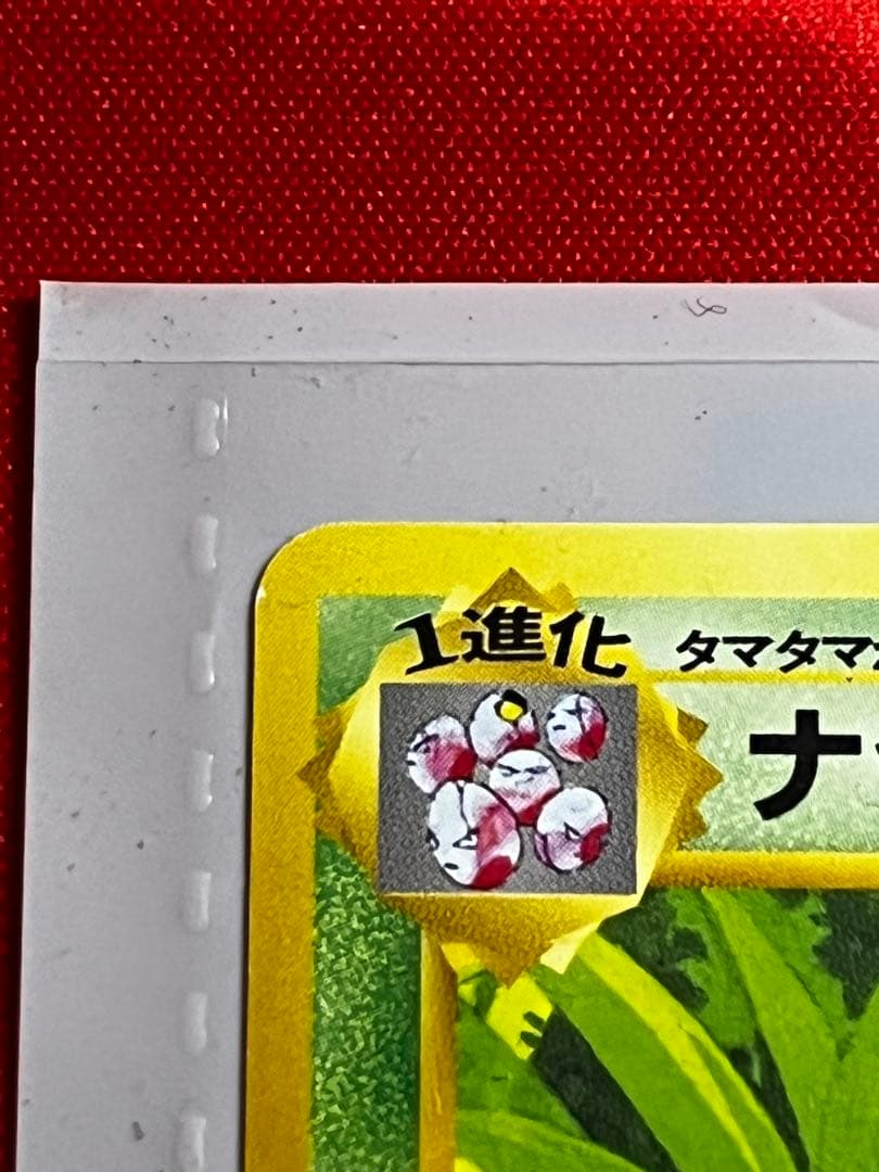 【旧裏】サザンアイランド　トロピカルアイランド〜ジャングル〜　ポケモンカード