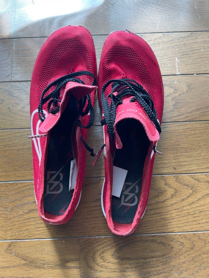 NIKE ドラゴンフライ　25cm