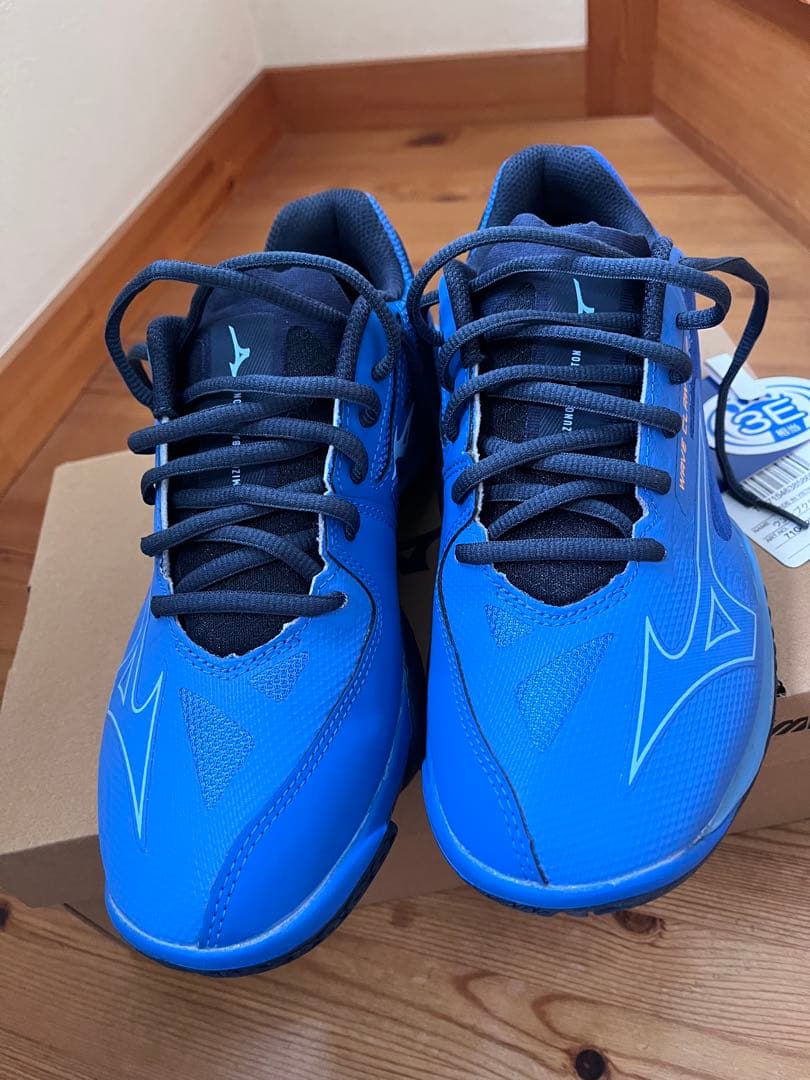 【新品未使用】Mizunoバドミントンシューズ 24.5cm