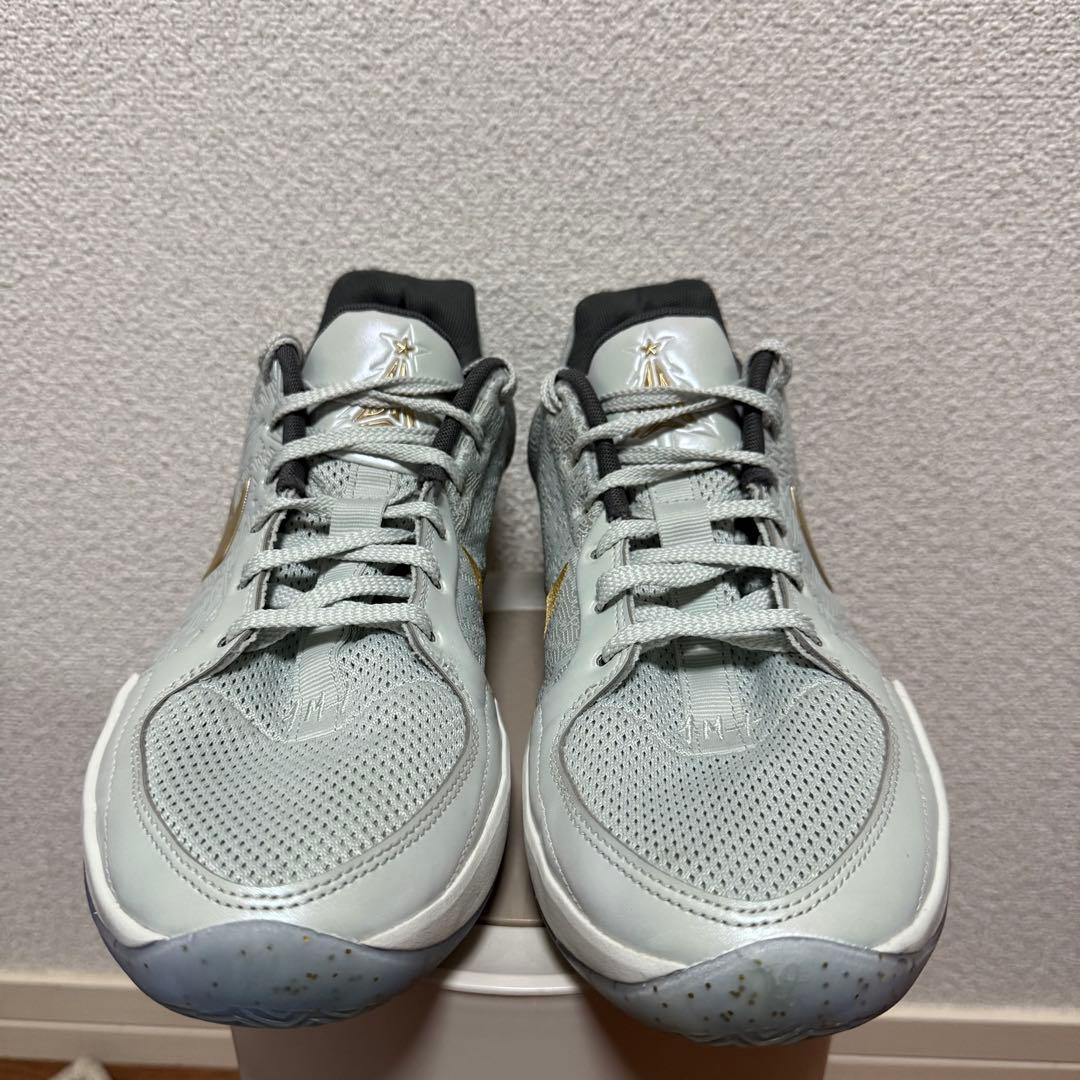 シューズ(男性用) NIKE JA2 Tree Top