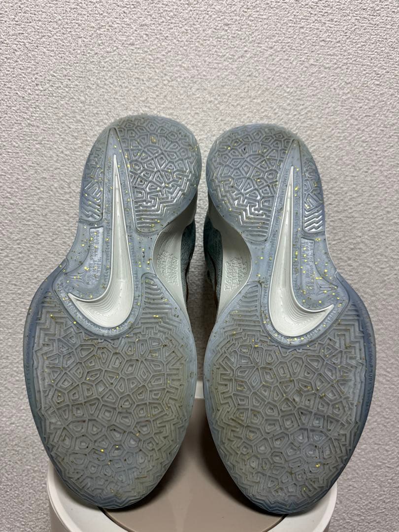 シューズ(男性用) NIKE JA2 Tree Top