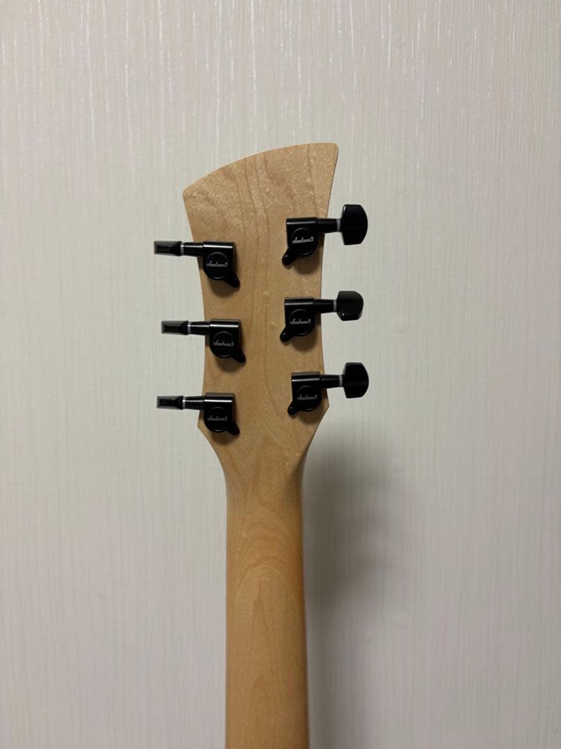 Jackson サーフキャスターEMG GTV