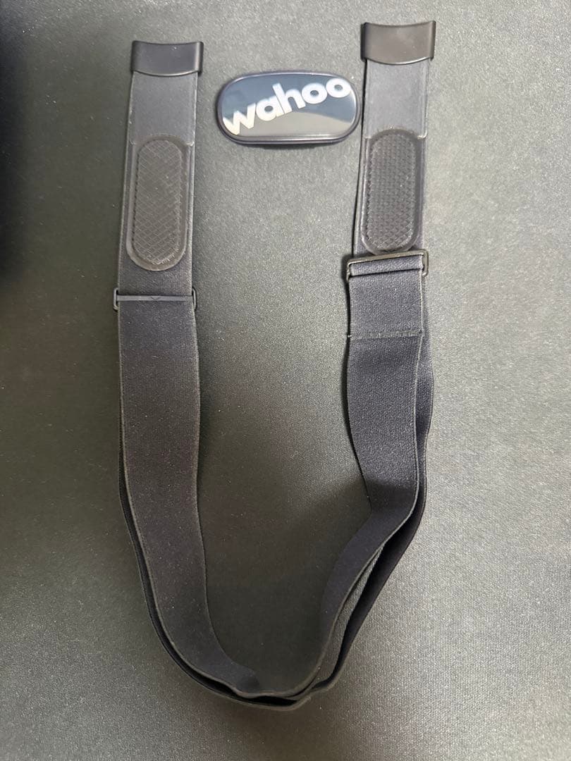 美品　Wahoo Element bolt V2