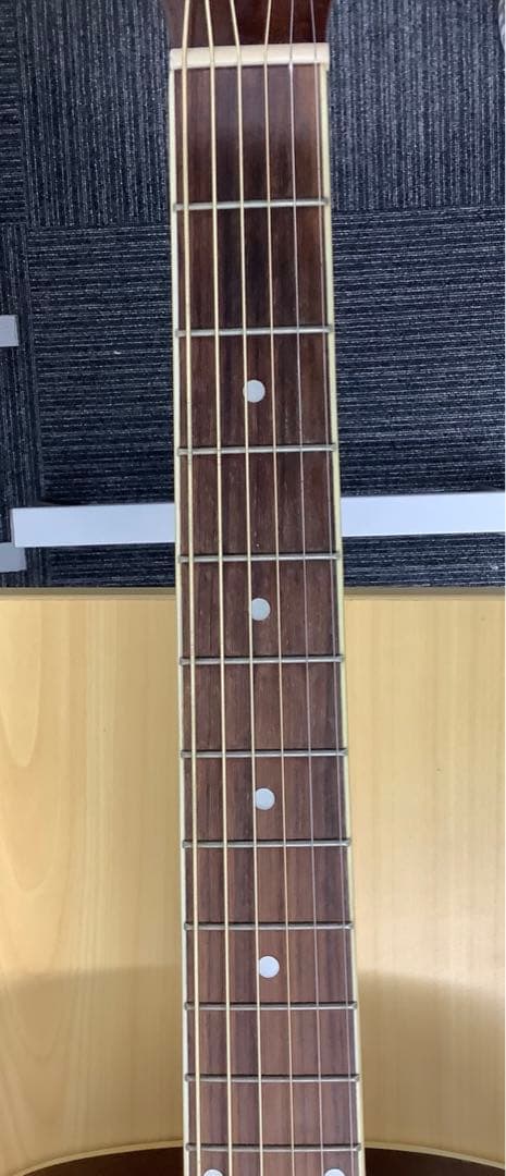 HONEY BEE アコースティックギター F-15N
