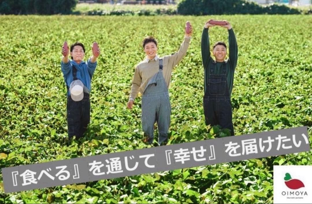 【予約受付中】紅はるか苗☆ウイルスフリー 3,000本 6月下旬から発送開始