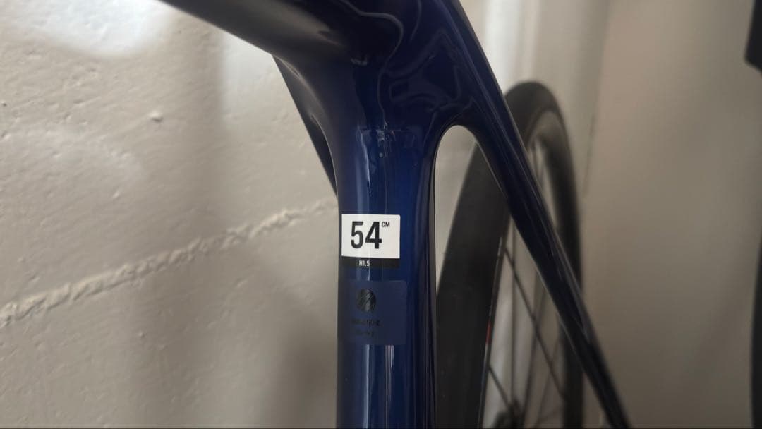 TREK EMONDA SL5 54サイズ　ペダルなし