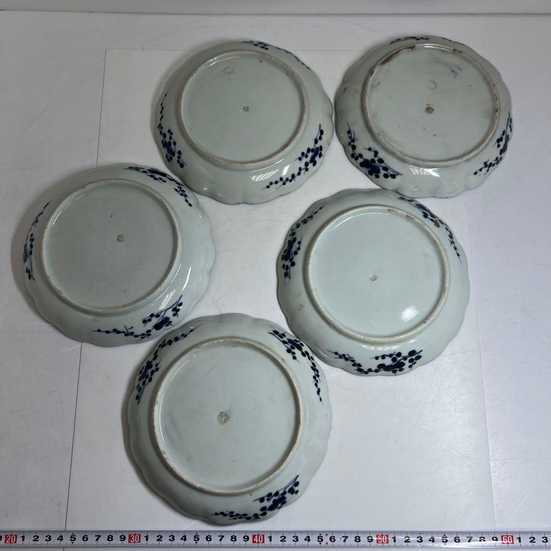 古伊万里　染付輪花皿5枚　幅約17.5㎝　東Y8-0323②