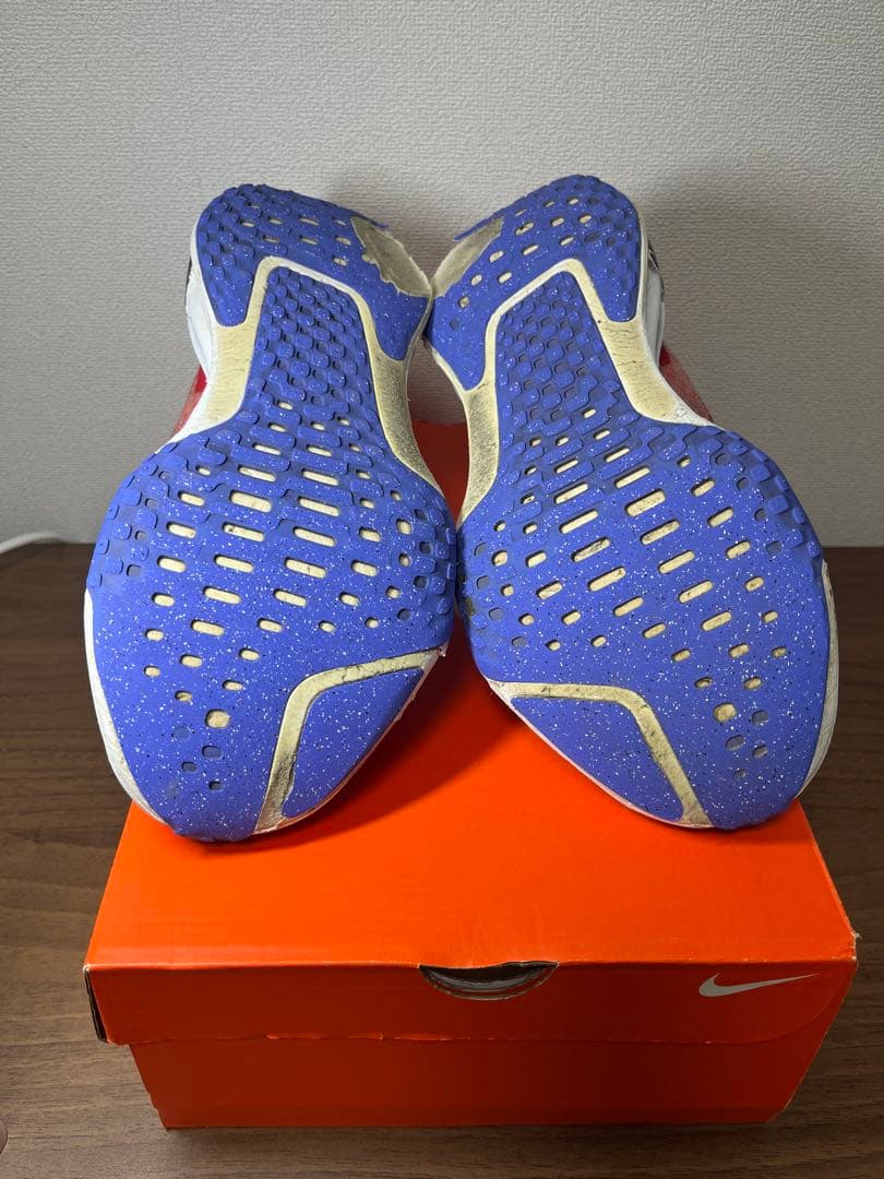 NIKE INVINCIBLE RUN3 27㌢