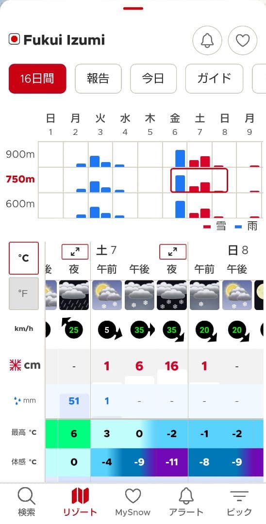 福井和泉スキー場 リフト1日ご招待券 5枚