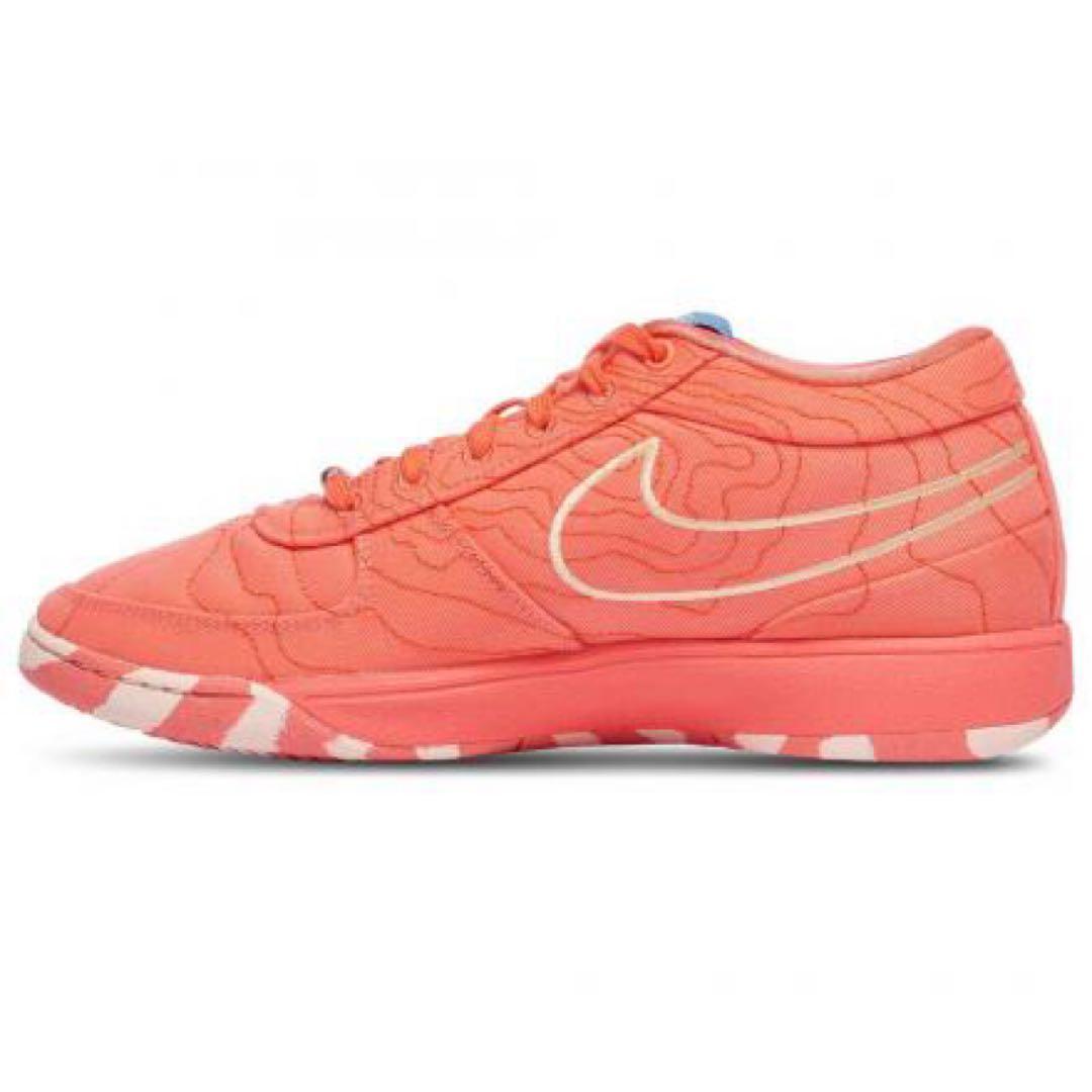 NIKE BOOK 1 EP セドナ 25cm