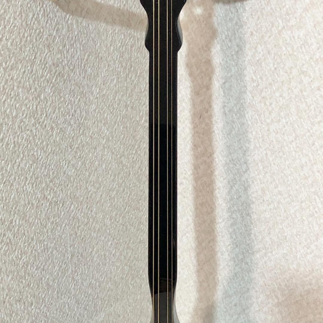 琉球 胡弓 四弦 本革 蛇皮　クーチョー 沖縄胡弓　擦弦楽器 蛇革 ケース付き