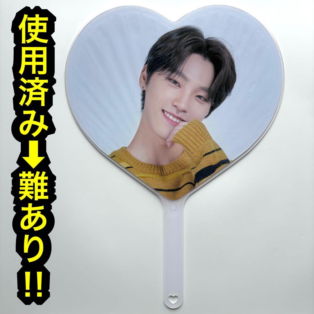 seventeen caratland 2020 うちわ　団扇　ピケット　ディノ