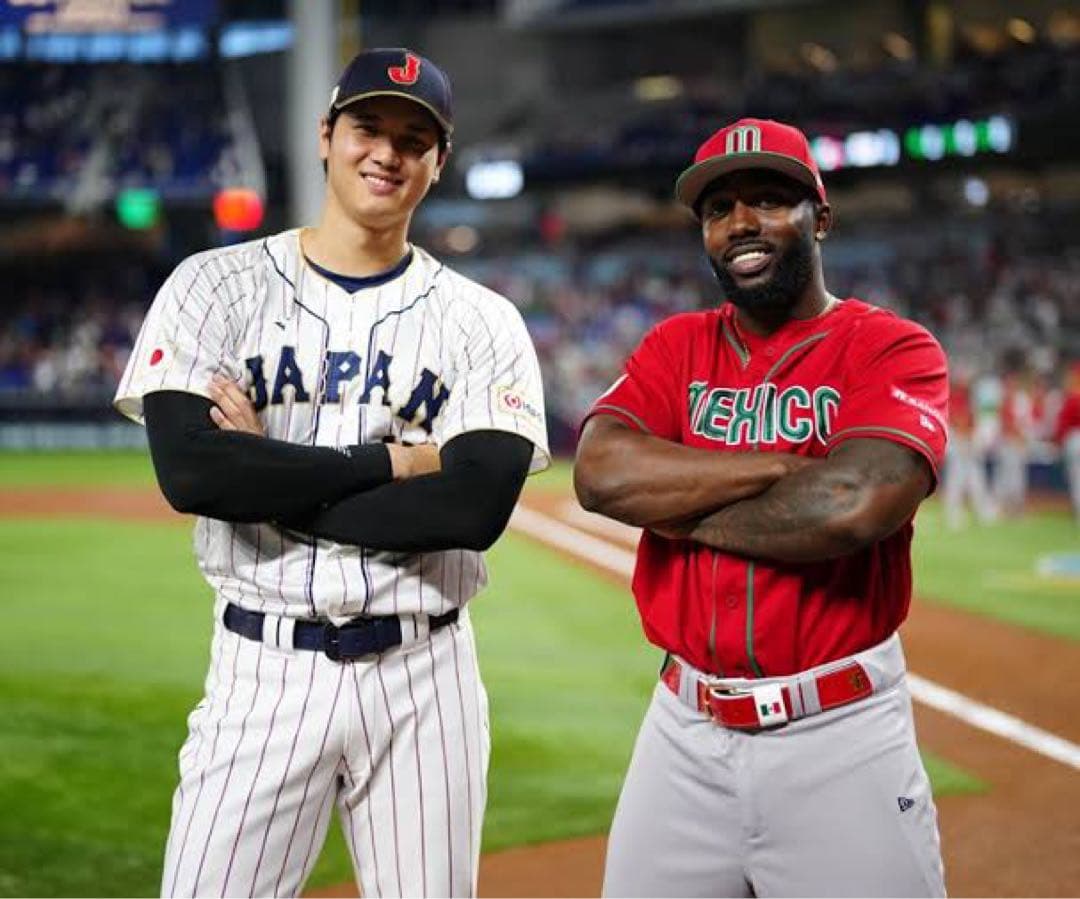 MLB ランディ　アロザレーナ　直筆サイン　バット　父の日
