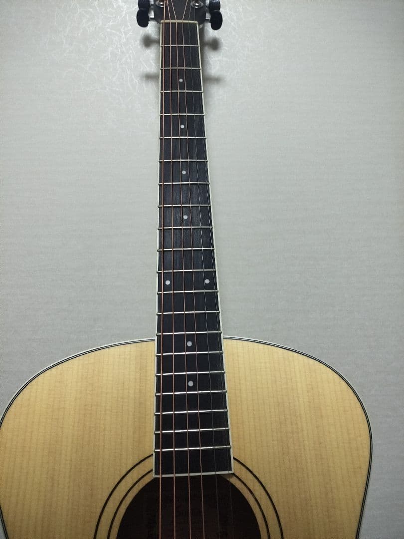島村楽器 アコースティックギター 初心者向け Soldin SFG-15