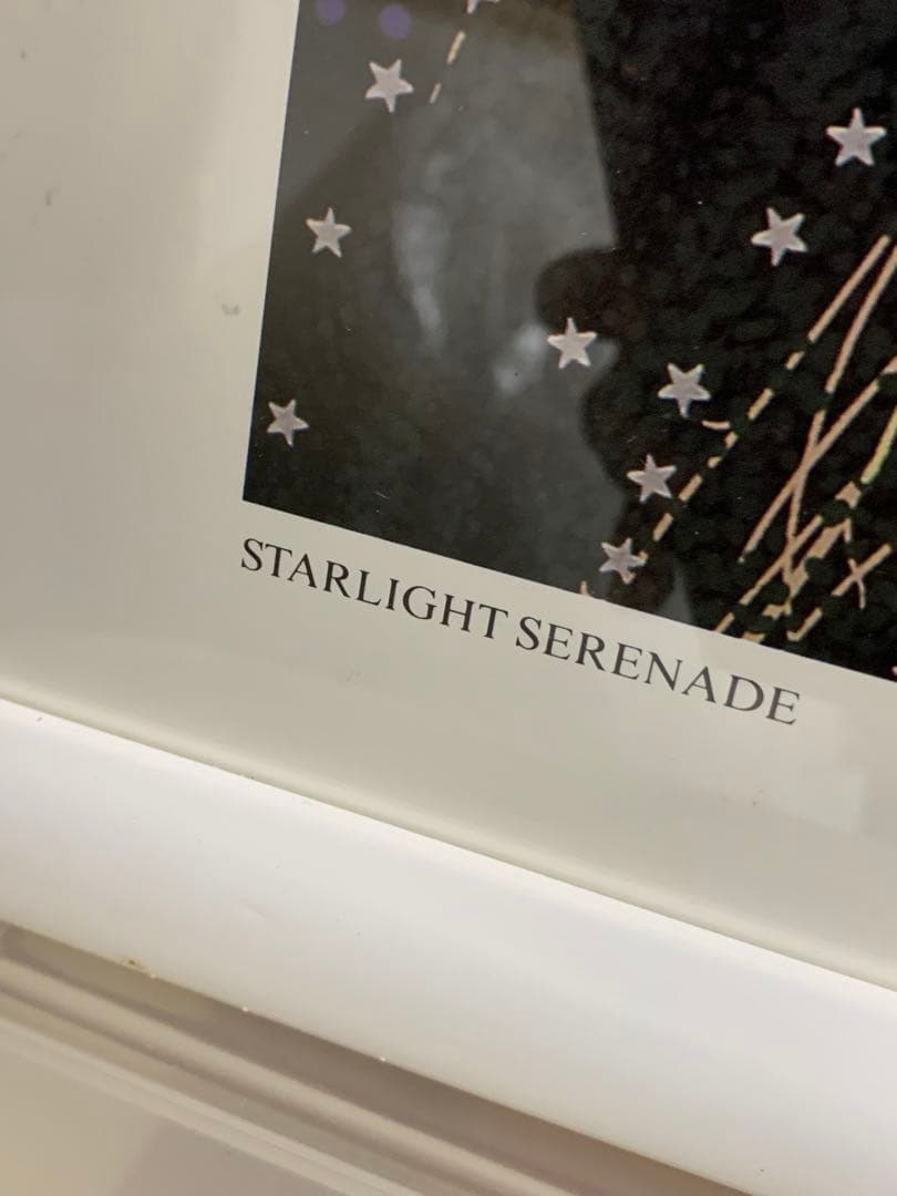 ヒロヤマガタ　STARLIGHT SERENADE ポスター