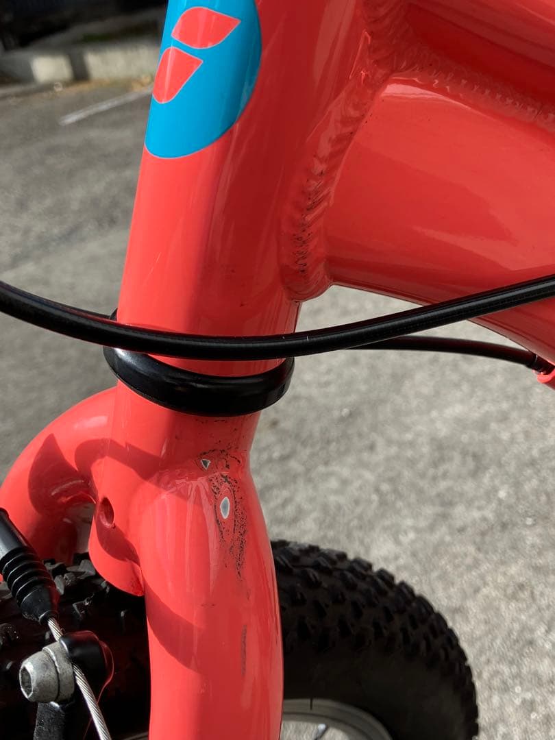 Giant 子供用自転車 20インチ